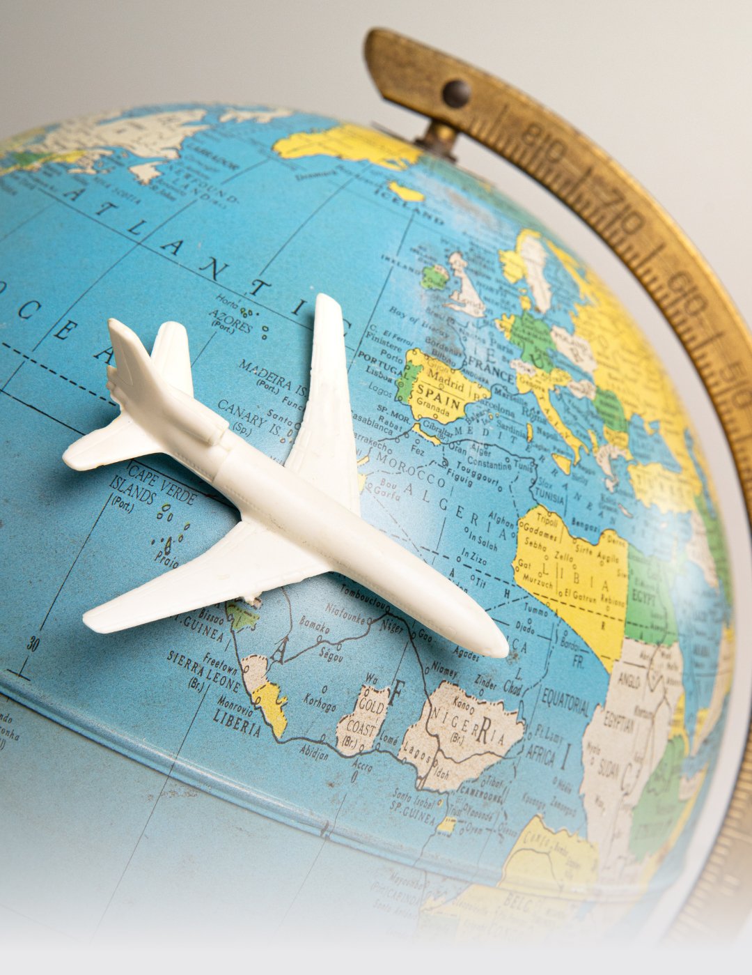 Seyahat Organizasyonu